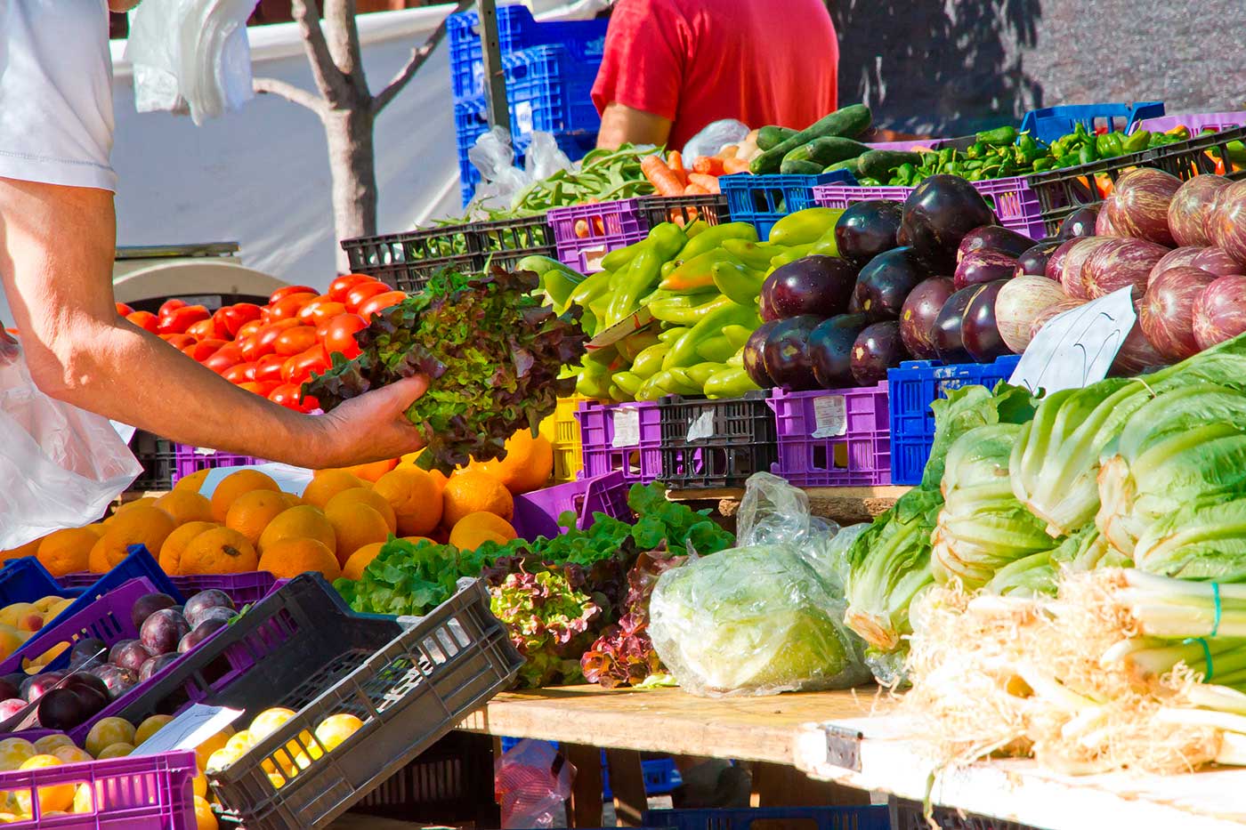 Mercados Mallorca